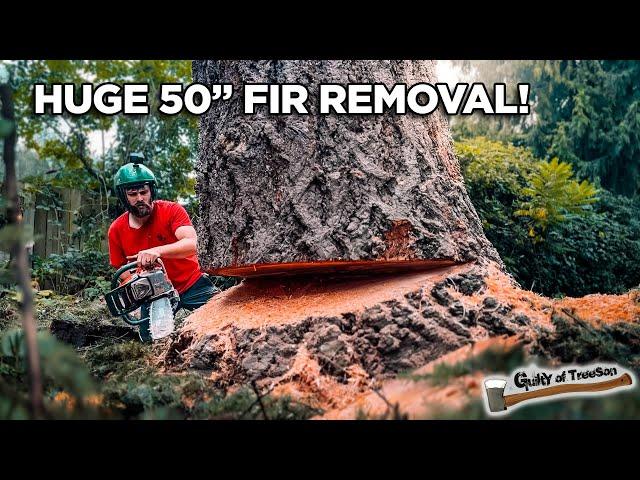 Removing a LARGE Dangerous Fir Tree!