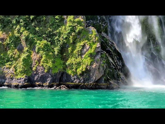 Piopiotahi (Milford Sound)