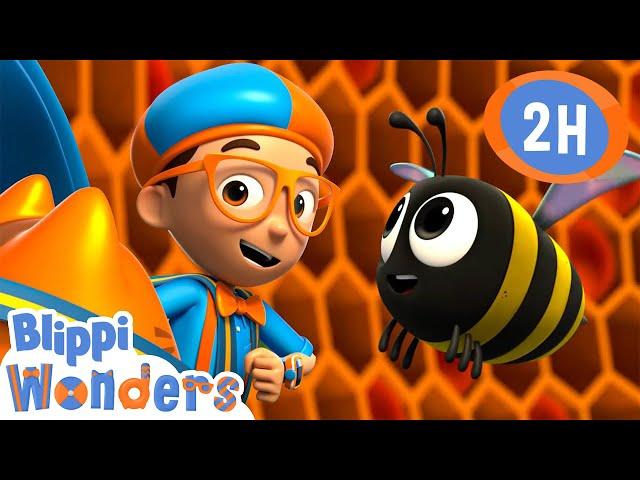 Honey | Blippi Wonders | Preschool Learning | Moonbug Tiny TV