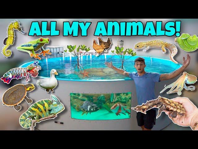 ALL My EXOTIC ANIMALS In ONE Video!! *Update*