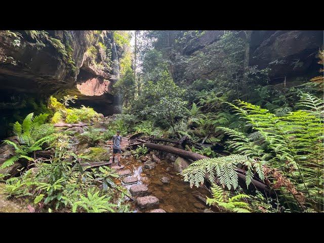 The Grand Canyon Hike, Blue Mountains NSW Australia - The ultimate bucket list Blue Mountains hike!