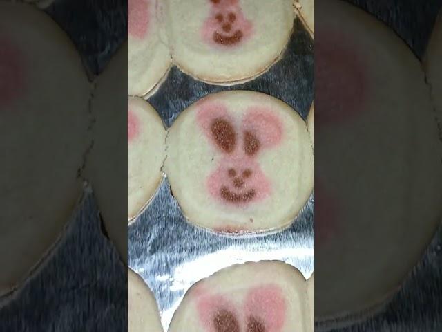 spring cookie Easter cookies bunny cookies