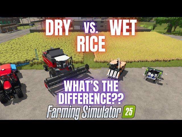 WET VS. DRY RICE - Farming Simulator 25