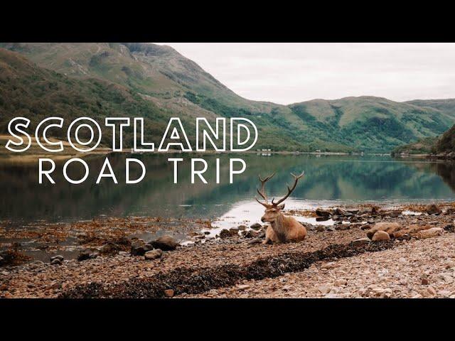 SCOTLAND ROAD TRIP // VAN LIFE IN OBAN MULL & GLENCOE FULL VW CAMPER VAN TOUR DOG FRIENDLY HOLIDAY