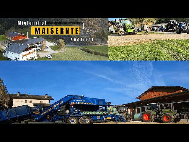 Maisernte 23 in Rundballen | Südtirol | Gumpi mit Göweil Vario Master| MF Kemper| JD| Valtra| Fendt