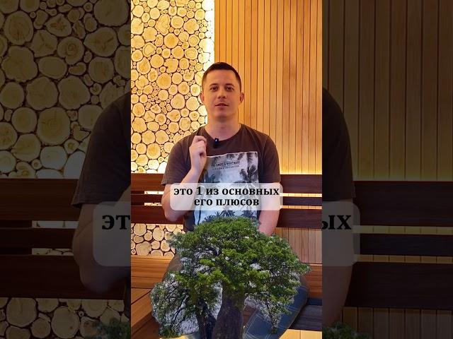 ТОП - 3 древесины, которые мы используем при работе с нашими клиентами #баня #строительство