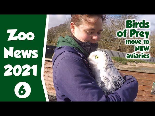 Zoo News Update - Birds of Prey Move into their New Aviaries