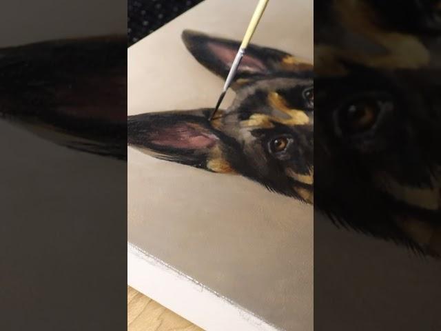 Let’s paint a dog ‍ #artist #oilpainter #dogportrait