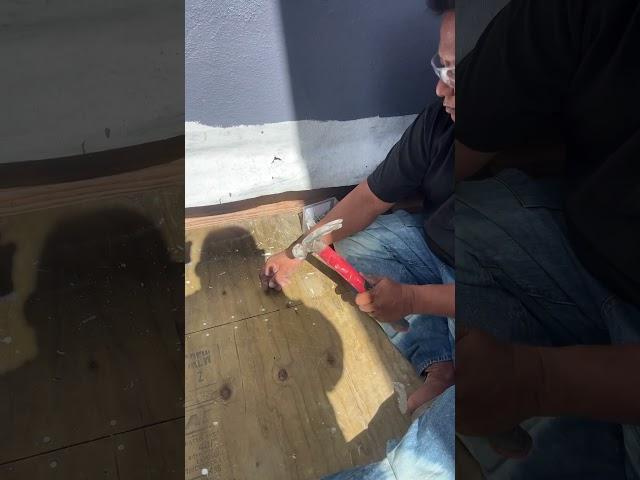 We doing an old school nailing cause our nail gun has 30 degrees that why we do the individual nail.