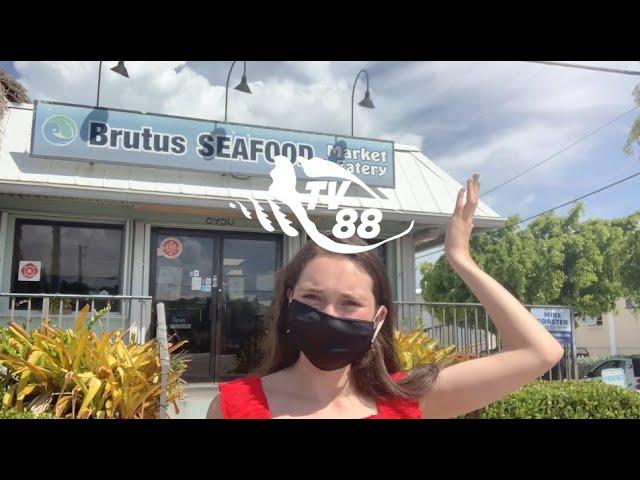 TV88 Touring the Keys at Brutus Seafood Market in Marathon, Florida