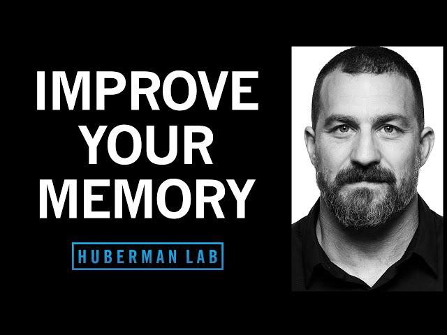 Understand & Improve Memory Using Science-Based Tools | Huberman Lab Podcast #72