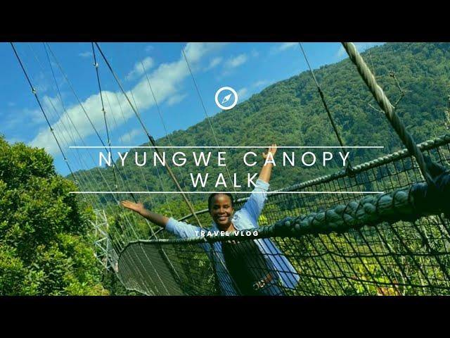 Explore Nyungwe national park-Nyungwe canopy walk with me!