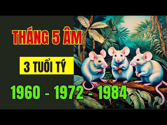 Tháng 5 Âm lịch, Năm ất tỵ 2025. 3 Tuổi Tý, Tuổi nào sẽ Đón lộc trời Ban, Tiền tài ngập két,