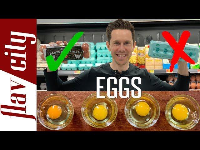 Everything You Need To Know About Eggs - Cage Free, Free Range, Pasture Raised, and More