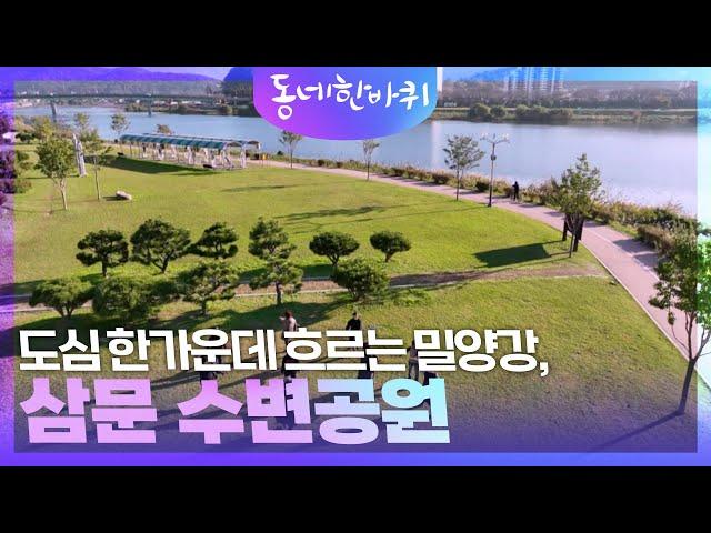 도심 한가운데 흐르는 밀양강, 삼문 수변공원 [동네 한 바퀴] | KBS 241130 방송