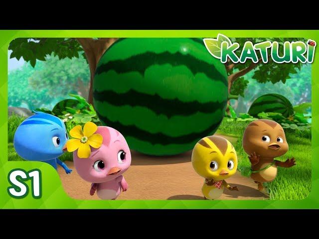 Roll the Watermelon!│KATURI│S1 EP2
