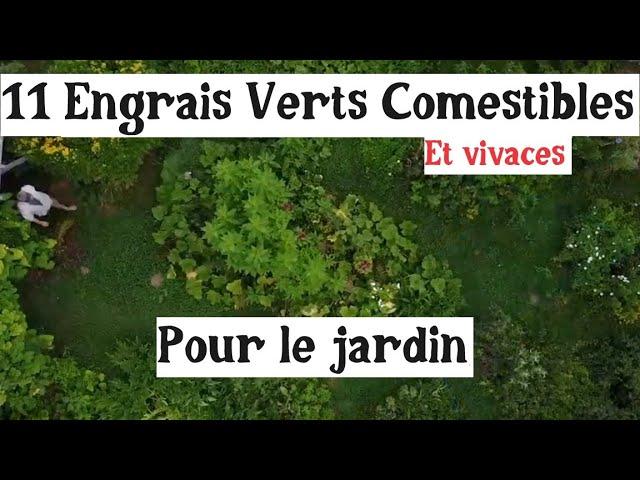 11 Plantes Comestibles, Vivaces et engrais verts