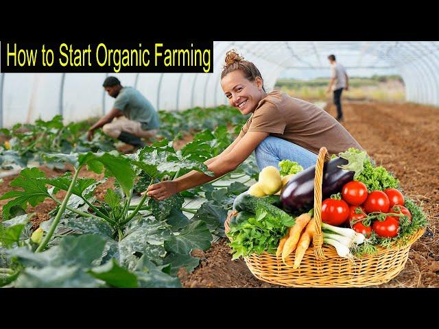 Organic Farming - How to Start Business Organic Farming - Organic Production Step by Step