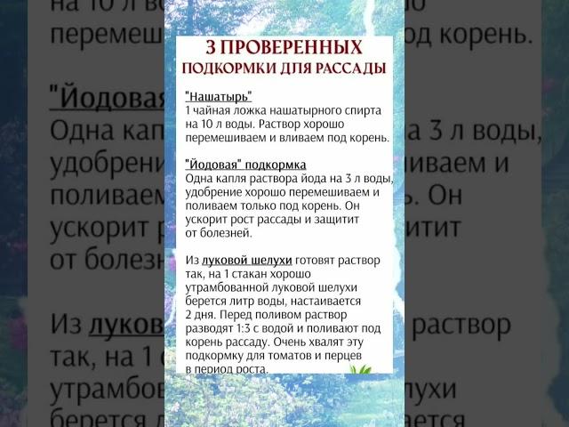 Подкормка для рассады #дача #огород #полезныесоветы #советы