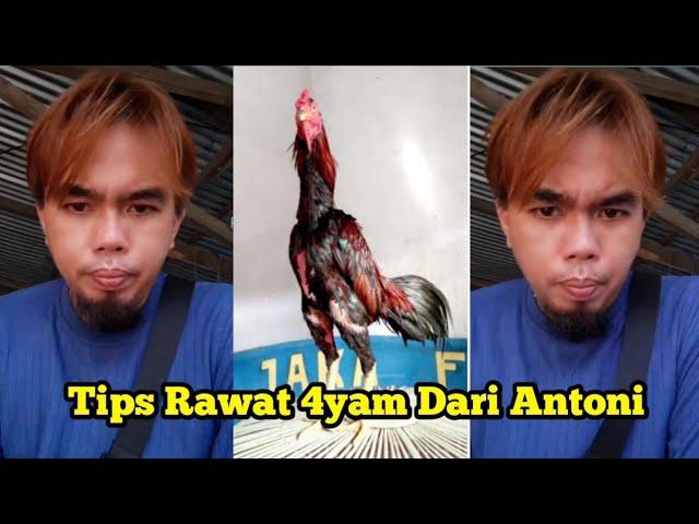 Tips Rawat 4yam Dari Saran Antoni Putra Martadipura