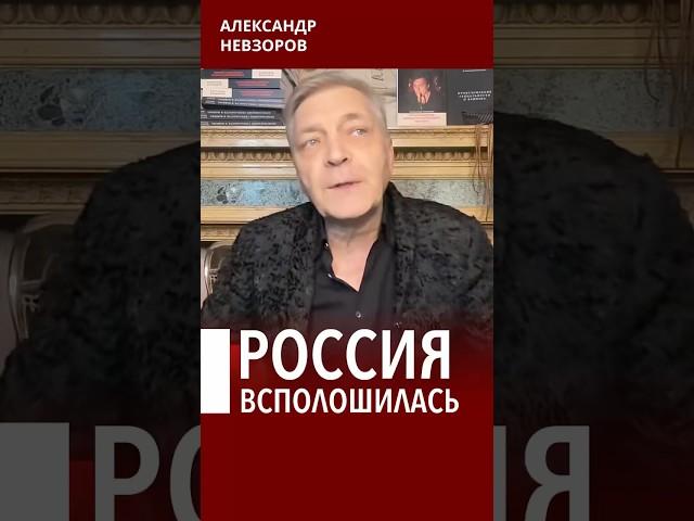 Путин переезжает #невзоров