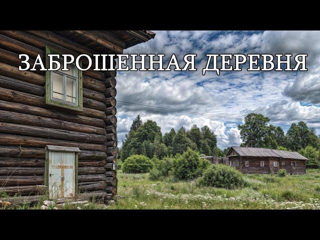 Невероятная природа и никого.Огромная деревня без людей.Множество брошенных домов.Костромскаяобласть