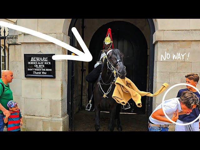 Horses do not like tourists disrespecting the King's Guard at Horse Guards, ORMONDE DAY