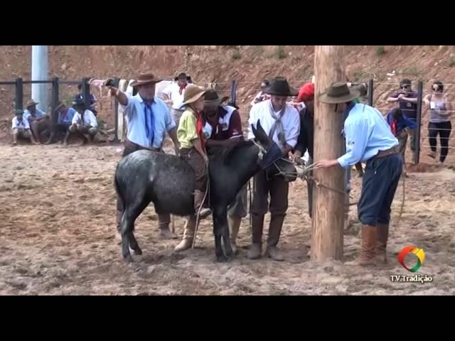 XXIV Rodeio Estadual de Paraí - Gineteada