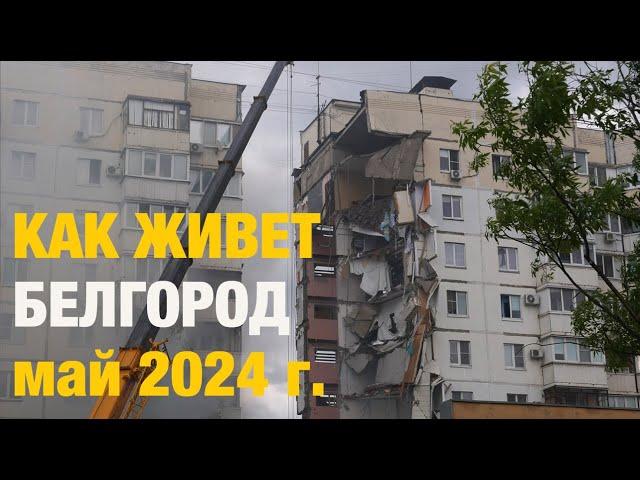 Как живет Белгород. Май 2024г.| Анна Чижова