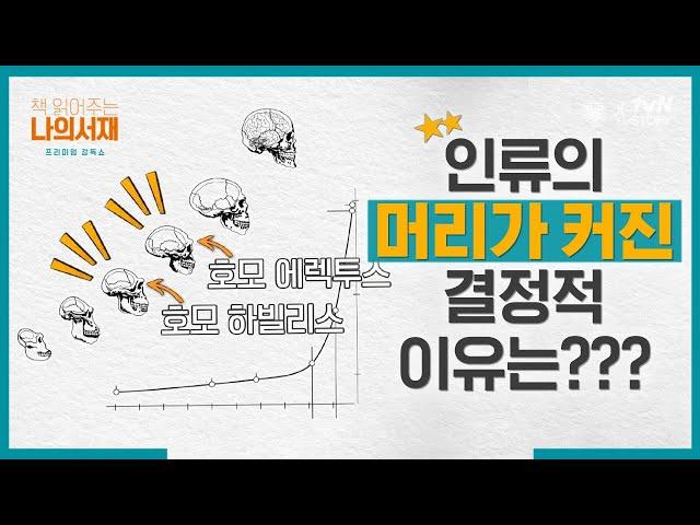 나약한 인간이 지구를 장악할 수 있었던 방법은 친구였다?! 뇌의 크기와 친구의 관계성 | #책읽어주는나의서재 #사피엔스