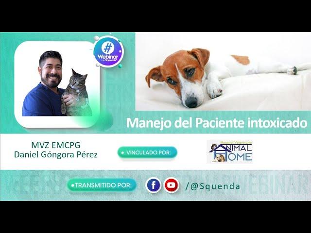 Manejo del Paciente intoxicado - MVZ EMCPG Daniel Góngora Pérez