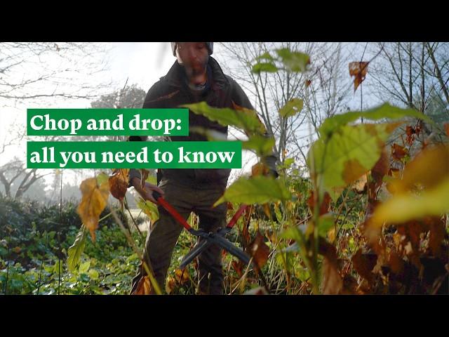 Chop and drop: all you need to know | The RHS