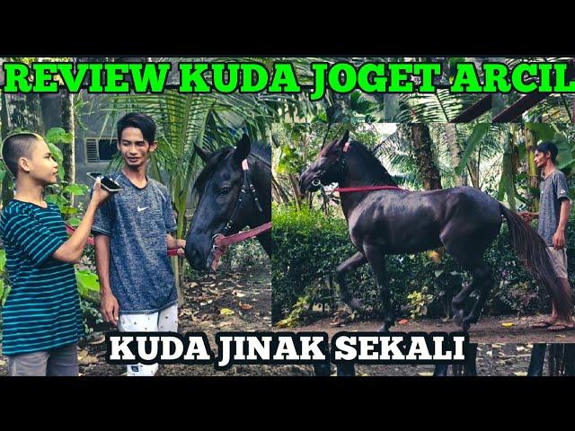 REVIEW KUDA JOGET PUTRA ARCIL BERSAMA FADHIL BRAY CHANNEL