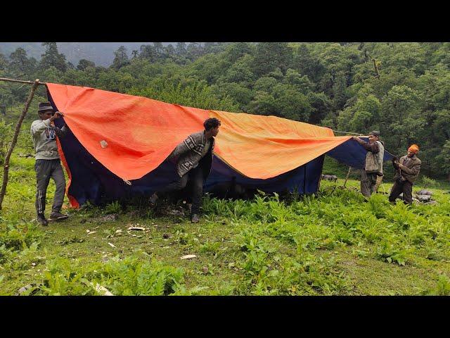 Shepherd Making A New shelter (cowshed ) in Mountain|| Nepali Village Lifestyle || VillageLifeNepal