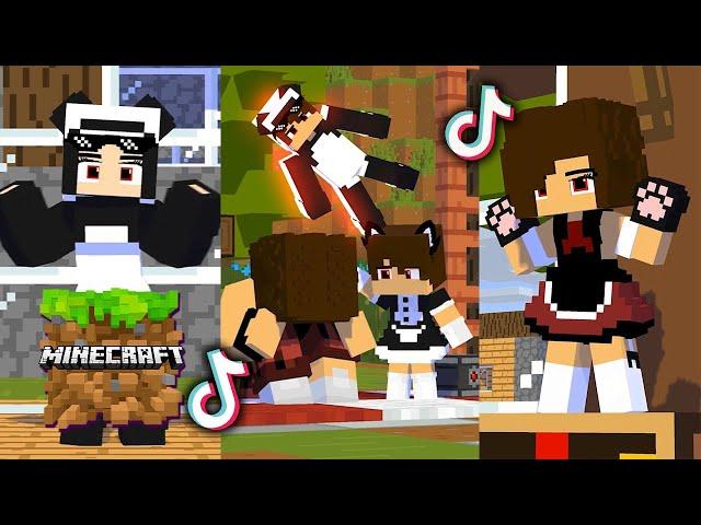 Minecraft Bagas Craft TikTok Compilation