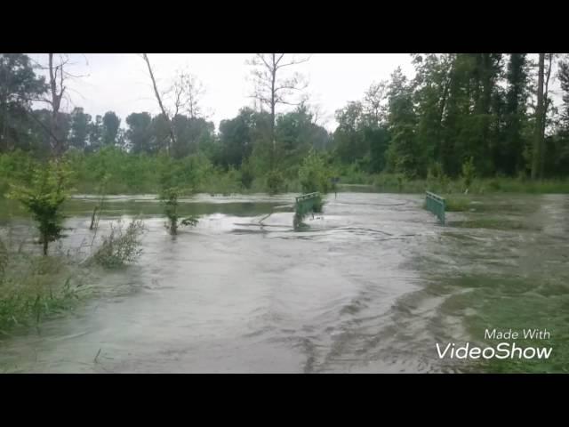 Schatz ich gehe an den Rhein Angeln