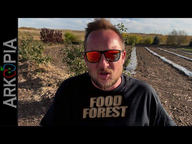 The Perfect Food Forest? (least amount of work to start) #foodforest #garden #orchard