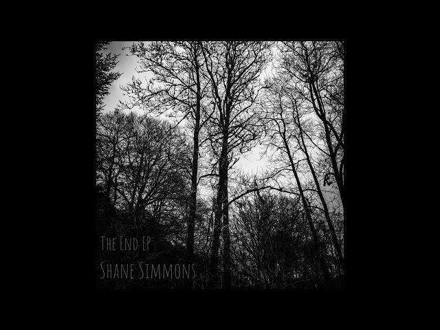 Shane Simmons - The End EP Demos - Don't Drink From the Well