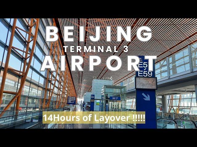 HOW TO TRANSIT AT BEIJING INTERNATIONAL AIRPORT TERMINAL 3 | 14 HOURS OF LAYOVER IN BEIJING