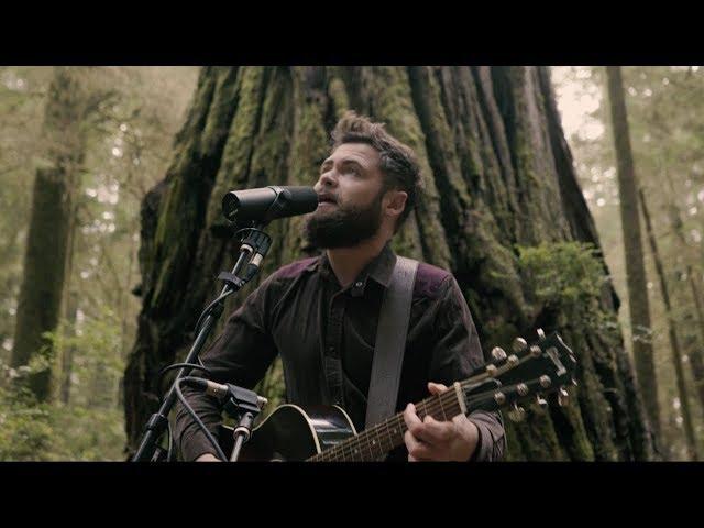 Passenger | Survivors (Acoustic Live from Jedediah Smith Redwood State Park, OR)