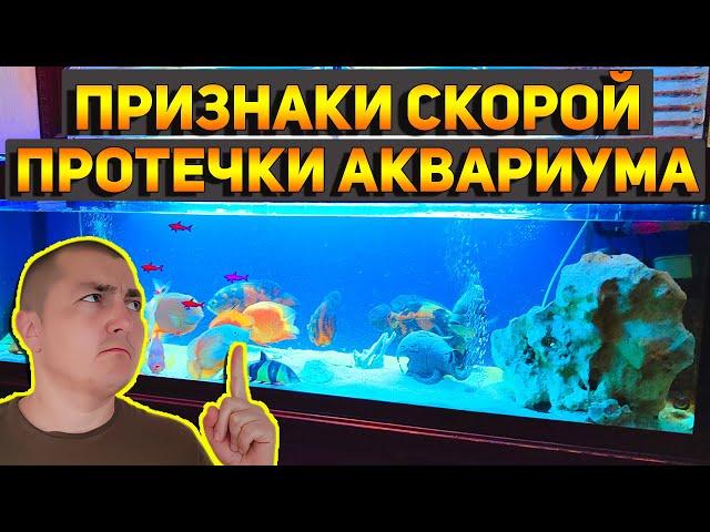 5 ПРИЗНАКОВ СКОРОЙ ПРОТЕЧКИ АКВАРИУМА! Вы уверены что их нет в вашем аквариуме?