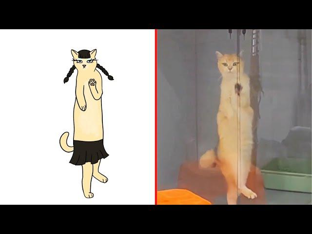 Cat Memes: Funniest Animals 2023 - Drawing Meme Funny Cats and Dogs | Cat Memes