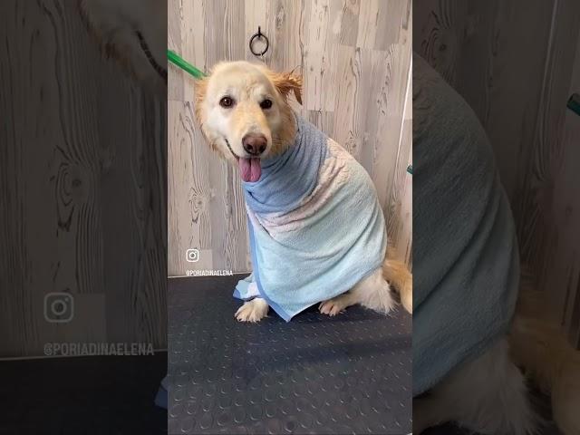 Клиент #работа #любимаяработа #люблюсвоюработу #клиенты