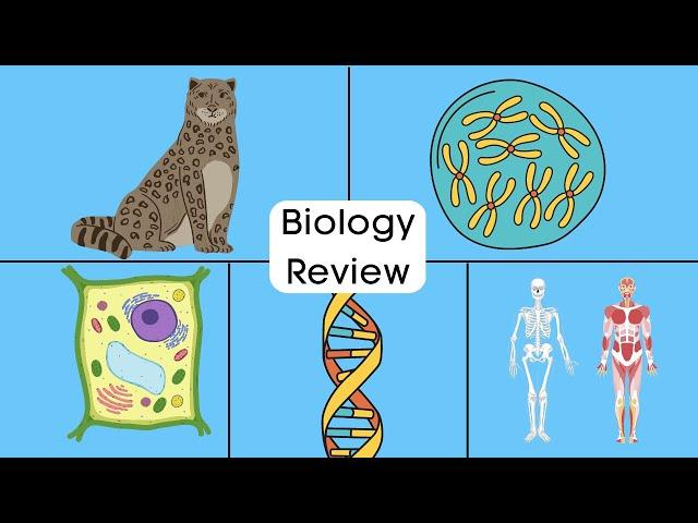 Life Science and Biology Year in Review - Cells-Genetics-Evolution-Symbiosis-Biomes-Classification