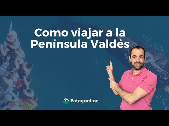 Viajar a la Península Valdés - Todo lo que tenes que saber