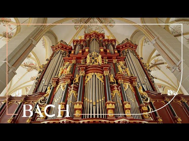 Bach - Prelude and fugue in D major BWV 532 - Van Doeselaar | Netherlands Bach Society