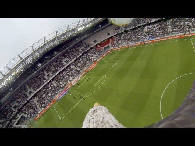 Incredible GoPro footage of OGC Nice's Eagle flying over football stadium
