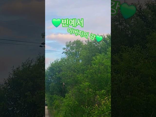  #빈예서 #아버지의 강  트롯빈예서 #꺽기요정예서 #예서공주님 #트롯 #퀸 #트롯퀸예서 #감성천재빈예서