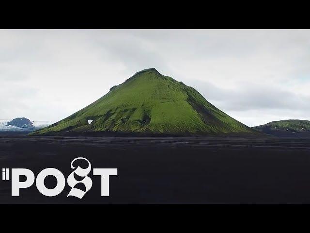 In Islanda c'è bisogno di alberi