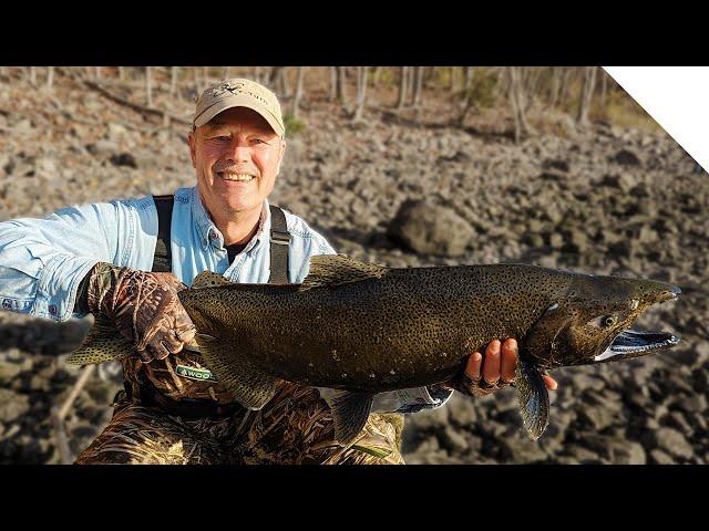 Salmon and Steelhead combo - end of the salmon run and the beginning of the steelhead run